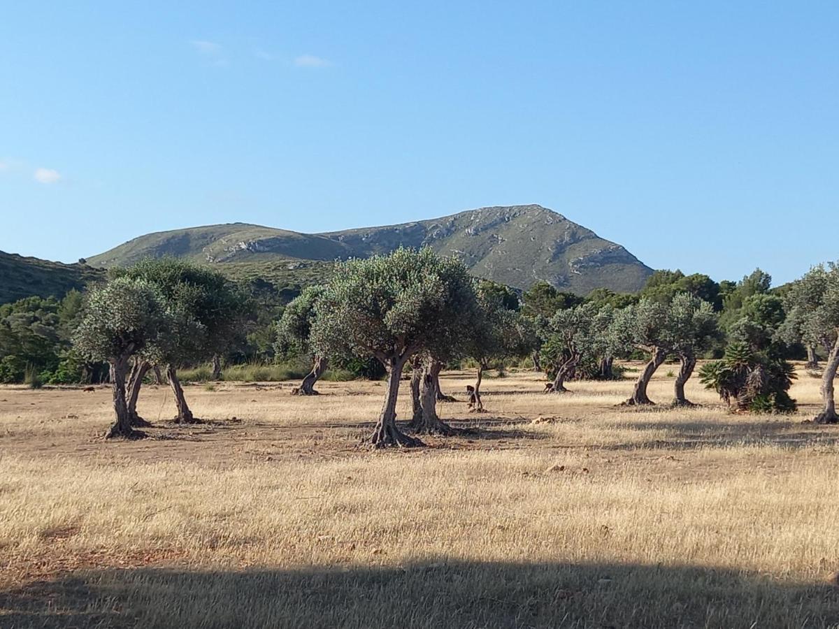 El Nido De Betlem Διαμέρισμα Colonia de Sant Pere Εξωτερικό φωτογραφία