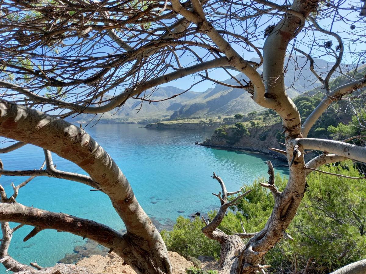 El Nido De Betlem Διαμέρισμα Colonia de Sant Pere Εξωτερικό φωτογραφία